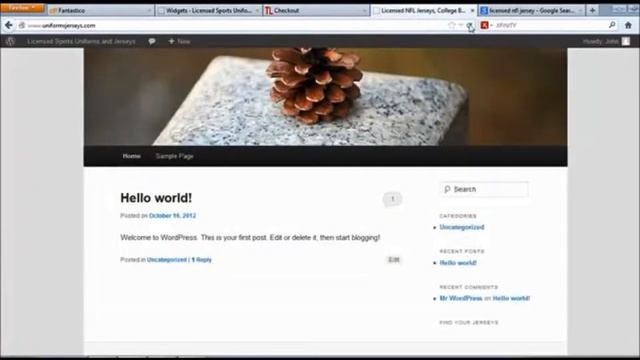 DIY Entrepreneur - Manage Your WordPress Default Themes смотреть онлайн