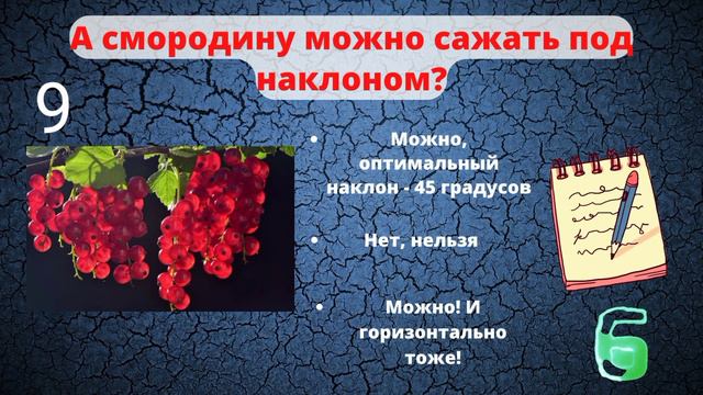 Тест для садоводов: если вы умеете сажать растения правильно, то вы знаете больше, чем думаете смотреть онлайн