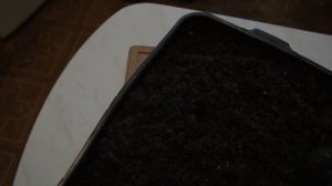 Как обработать грунт в духовке для рассады