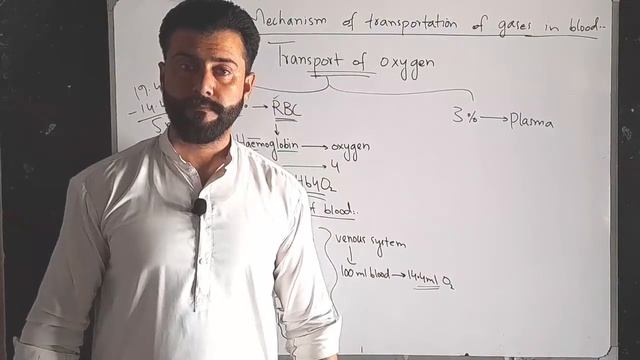 Class 12 Chap 1 - Transport of Oxygen & Transport of Carbon dioxide by Blood by Tariq Pathan смотреть онлайн