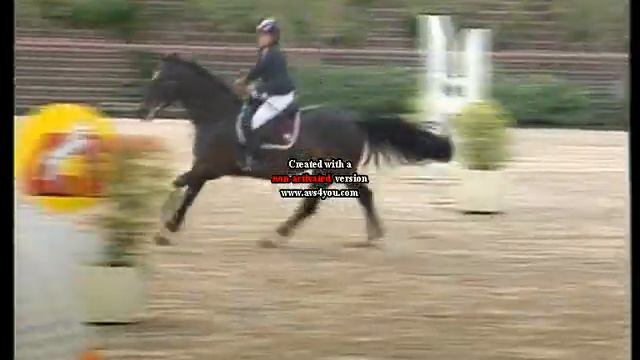 C115 - Horses Riviera Resort - Sara Cacciatore - ZARAGOZA DWERSE HAGEN смотреть онлайн