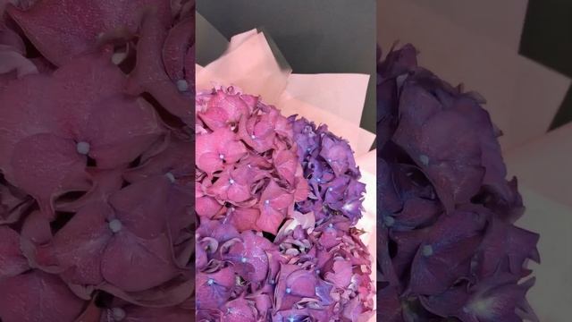 Букет с фиолетовой гортензией ULTRAVIOLET #доставкацветов #гортензия #hydrangea #flowers смотреть онлайн