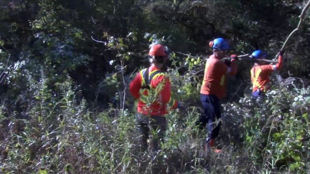 Savannah Restoration Project at Point Pelee National Park смотреть онлайн
