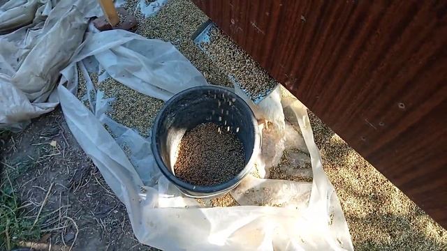 веялка для зерна. смотреть онлайн