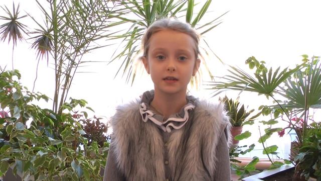 Фёдор Иванович Тютчев "Весенняя гроза". Читает Вавренюк Вероника 2а смотреть онлайн