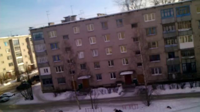 Стая собак в центре города смотреть онлайн