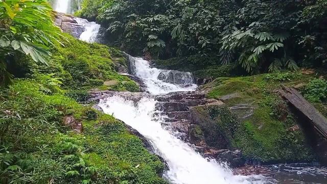 Beautiful Waterfall Sounds And River Sounds (Relaxation,Meditation,ASMR)