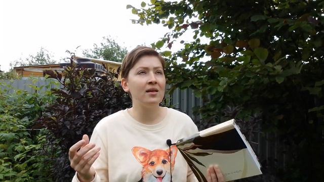 Нарциссический пациент и работа с ним. Психотерапия Х. Когута