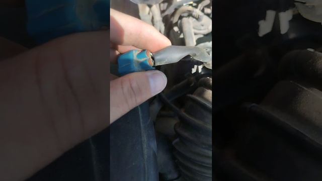 Тойота Авенсис проверка клапана Адсорбера