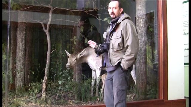 По реке Воронеж и ее притоку смотреть онлайн