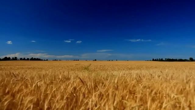 Удача и как её не потерять — Маг Каидел смотреть онлайн