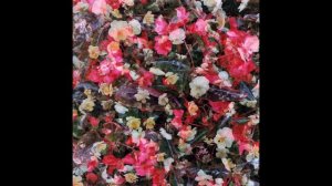 Автоспорт (Autosport) - Пожалуйста, только не домой (Please, Don't Go Home) [Full Release]