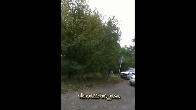 СУДЬЯ, ПОЛИЦЕЙСКИЕ И ПРОКУРОР = КРИМИНАЛЬНОЕ ОПГ. ГАИ ДПС. ОСА ТАЛГАР смотреть онлайн