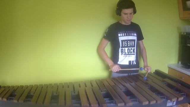 The Medallion Calls - Pirates of the Caribbean | Marimba Cover смотреть онлайн