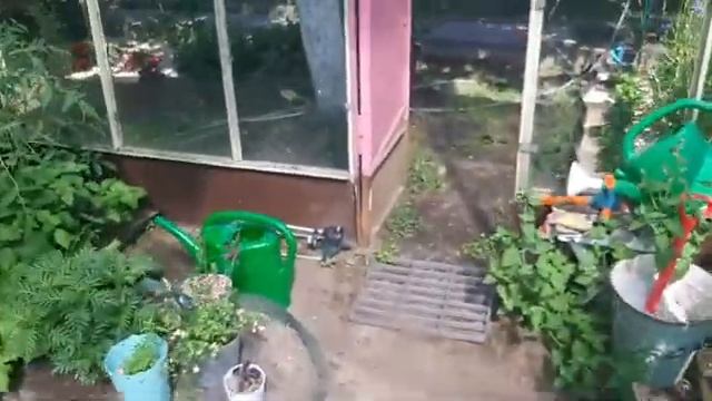 VLOG: навела порядок в теплице?? смотреть онлайн