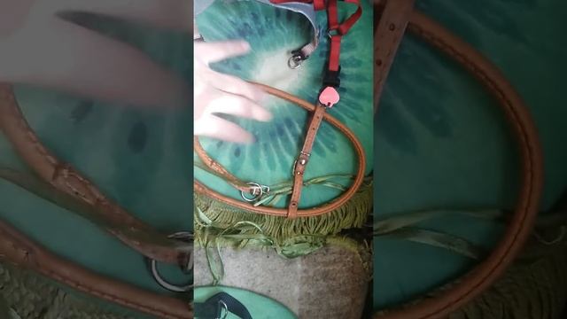 Какую шлейку выбрать собаке смотреть онлайн