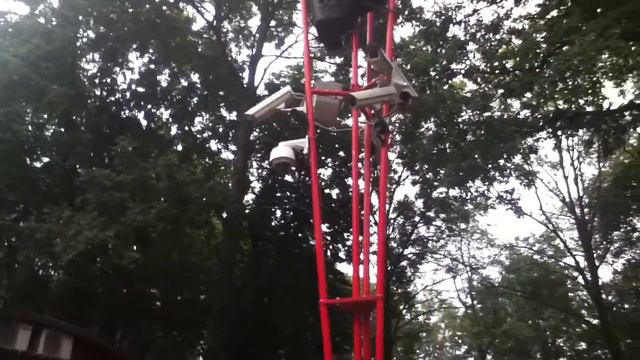 5.Камерная пальма на Крестовском смотреть онлайн