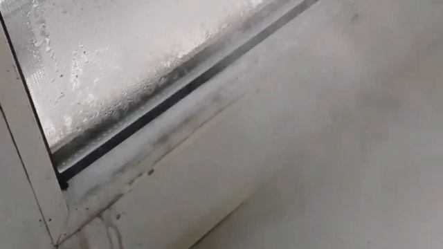 26 января 2022 г.