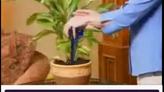 Колба для полива цветов и растений смотреть онлайн