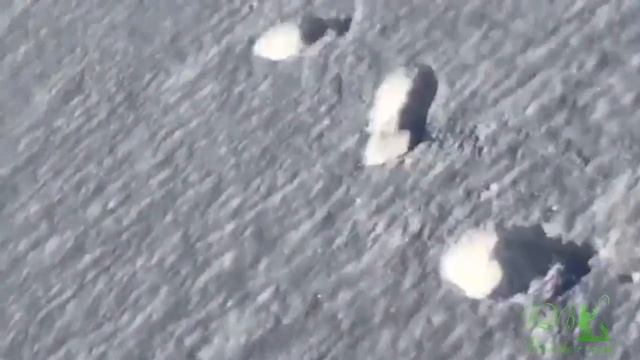 ОБЗОР ТЕПЛООБМЕННИКА, РИПУС С ВЕРХНЕГО ТОБОЛА И НАГЛАЯ НОРКА! ЛОВИМ НА УРАЛЕ И В КАЗАХСТАНЕ! смотреть онлайн