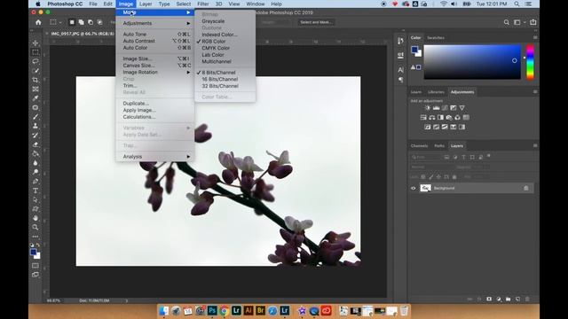 Photoshop Basics: How to Invert Colors in a Photograph смотреть онлайн