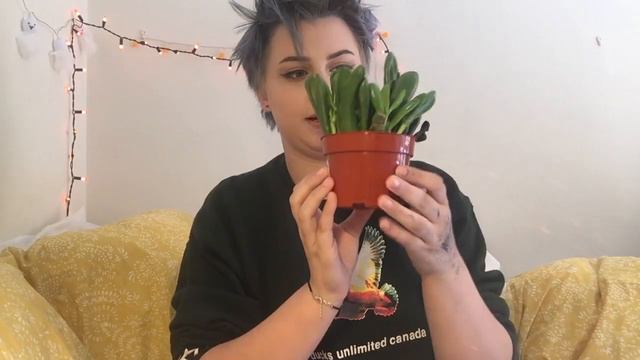 these are my plants // vedo 2 смотреть онлайн