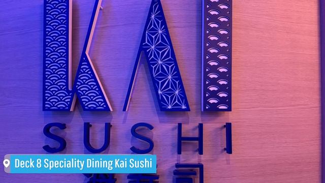 Sun Princess Ship Tour 2024 - Narrated Full Walkthrough #sunprincess #cruise смотреть онлайн
