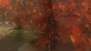 ♔ KORG S ♔ ✦  Осенний Ре-диез  ✦  Sergey K ✦ Modern Beat ✦ (Korg Pa900) ✦