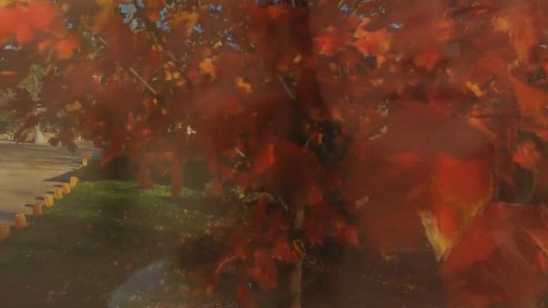 ♔ KORG S ♔ ✦ Осенний Ре-диез ✦ Sergey K ✦ Modern Beat ✦ (Korg Pa900) ✦