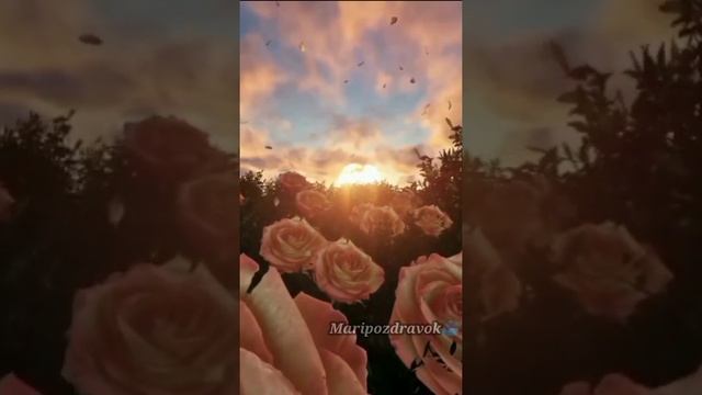 ?Встреча двух сердец ✔Павел Ружицкий смотреть онлайн