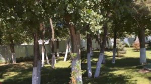 #Лазурный берег #Джемете #Анапа Обзор территории