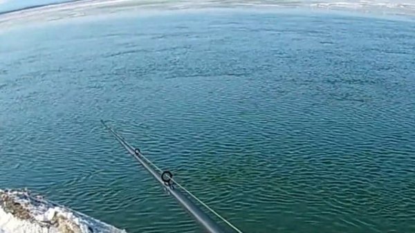 Maximus Zircon Casting 15-56g. Обзор.