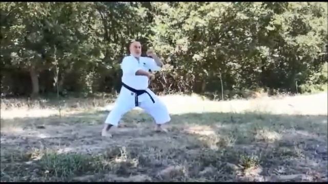 Shihan Yavuz OKUR Shotokan KARATE - 34 смотреть онлайн