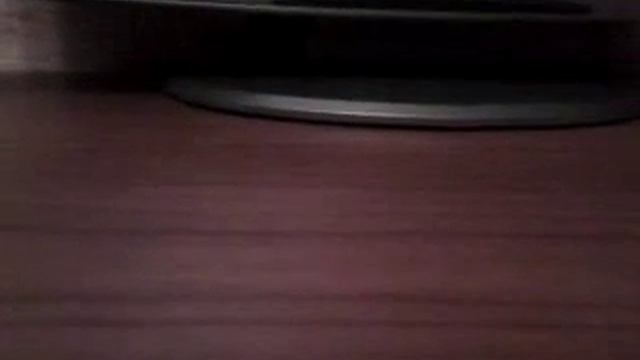 Литл пет шоп . Моя ужасная жизнь . смотреть онлайн