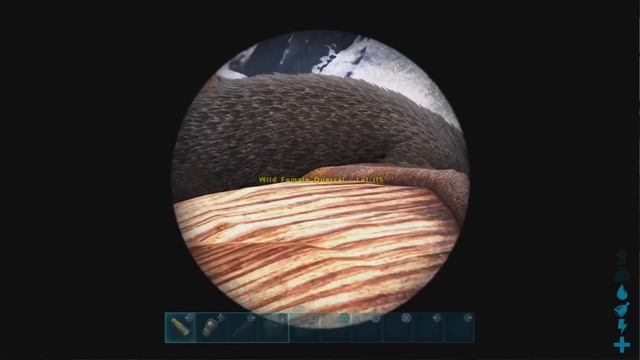 ARK The ISLAND | BEST Quetzal Spawn LOCATIONS