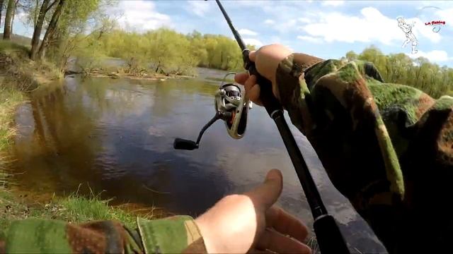 ЖЕРЕХ. Ловля жереха весной. Весенний спиннинг. Десна 2021. Поклевки в кадре! смотреть онлайн