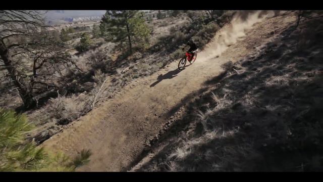 Downhill & Tribute 2017 - Brett Rheeder