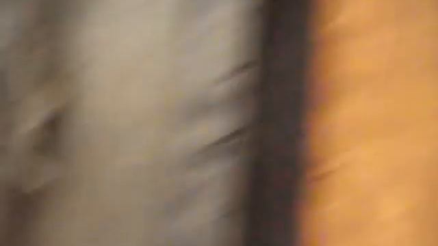 выбор Европейского грузовика, прицепа, строительной техники, c/х техники