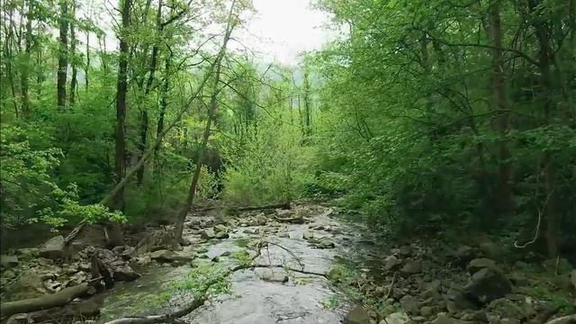 Chillout - Soft Guitar Relaxation Music