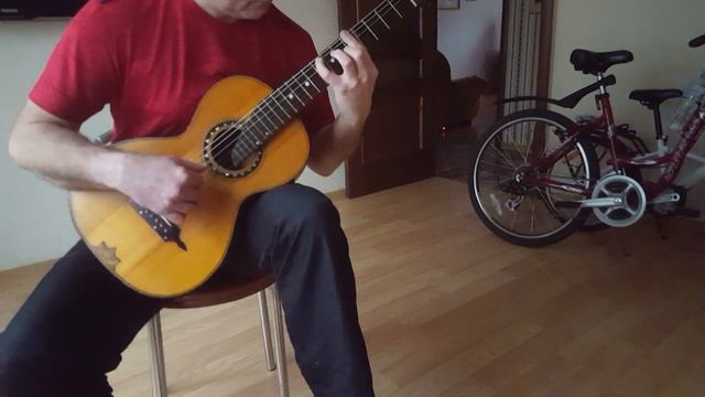 Aire de Zamba ( from Suite Andina) - Agustín Barrios Mangoré смотреть онлайн