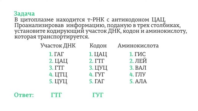 ЕГЭ. Биология. 4.4. Трансляция. смотреть онлайн