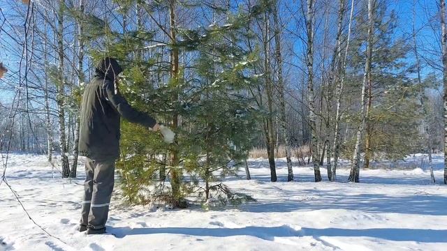 Один строит круглый дом, другие комментируют! А Костя ездил в Магадан... смотреть онлайн
