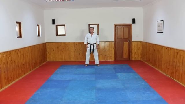 Heian Nidan - Second Level - Shotokan Kata by Sensei Soon Pretorius (Former JKA World Champion) смотреть онлайн