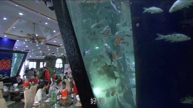 【2023都市家庭】而立之年 Thirty Years of Age 第01集 | 梅婷、夏雨、张萌、范明如何应对人生危机！ смотреть онлайн
