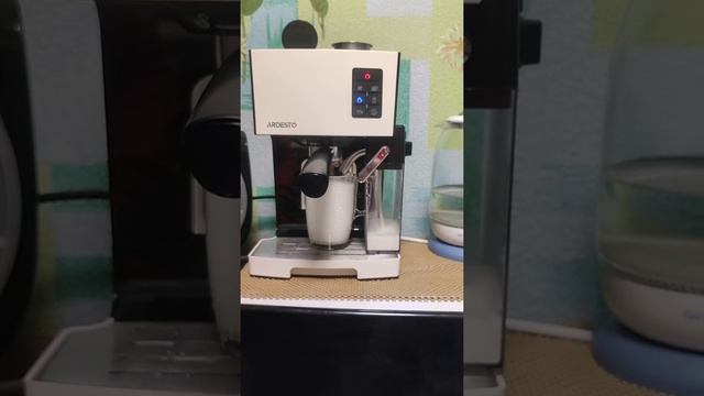 Рожковая кофеварка-кофемашина Ardesto Ecm-em14s приготовление капучино