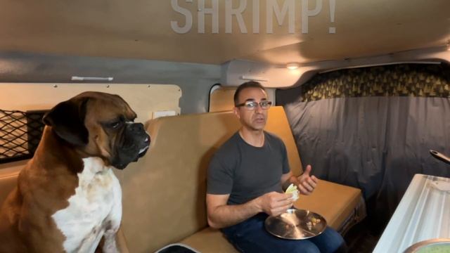 Cooking Shrimp Tacos By The Ocean | VanLife Stealth Camping смотреть онлайн