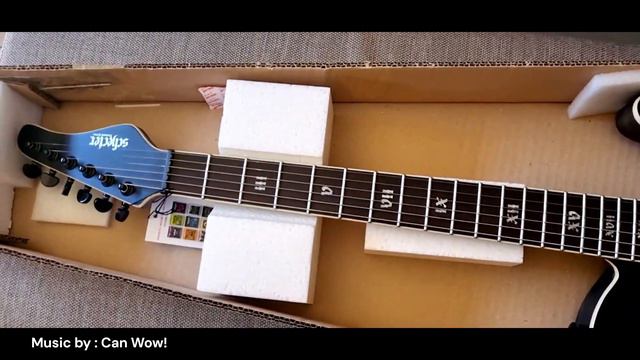 Schecter PT SLS Elite Evil Twin (unboxing short) смотреть онлайн