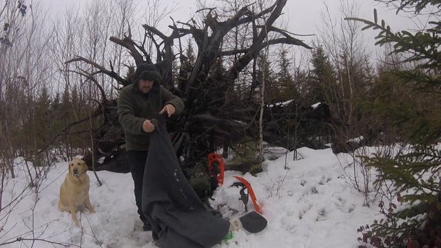 Arcturus Military Wool Blanket Review: The Best Wool Blanket? смотреть онлайн