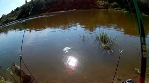 Рыбалка на реке дон ловля на фидер видео отчет.