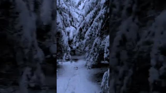 Я не знаю, почему я так люблю зиму смотреть онлайн